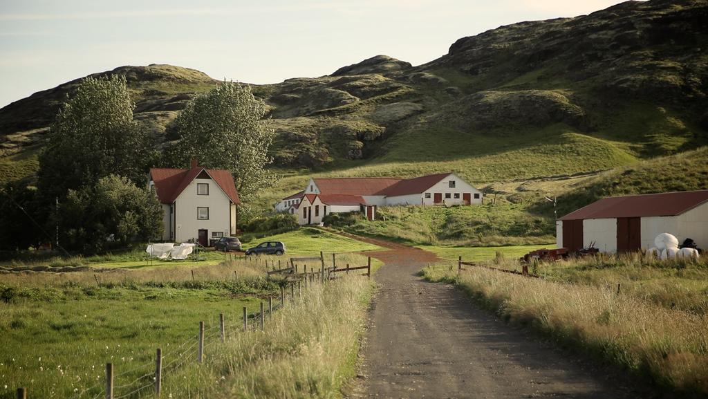 Sel Guesthouse Skálholt 외부 사진